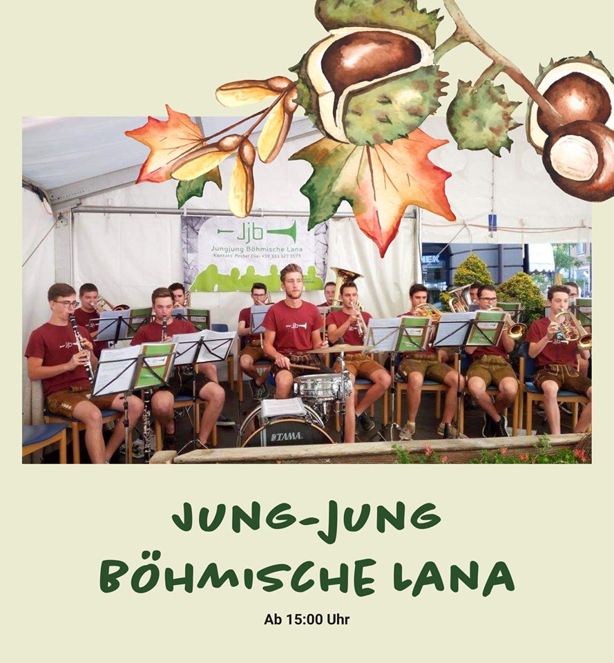 Chronik Musikgruppe Jungjungboehmische
